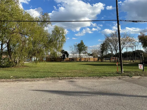 a view of a yard with large trees