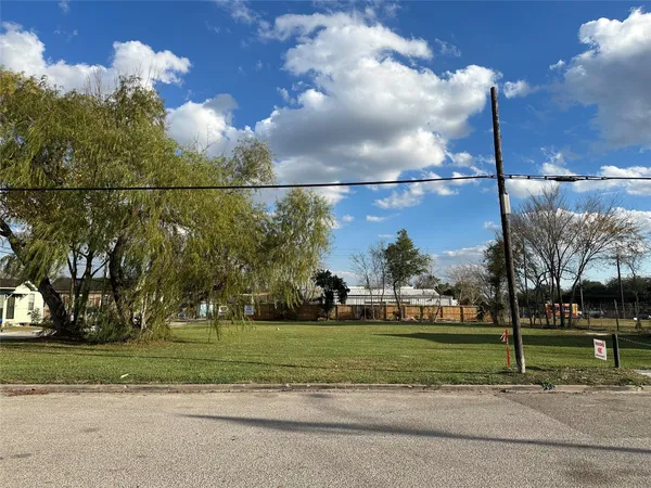 a view of a yard