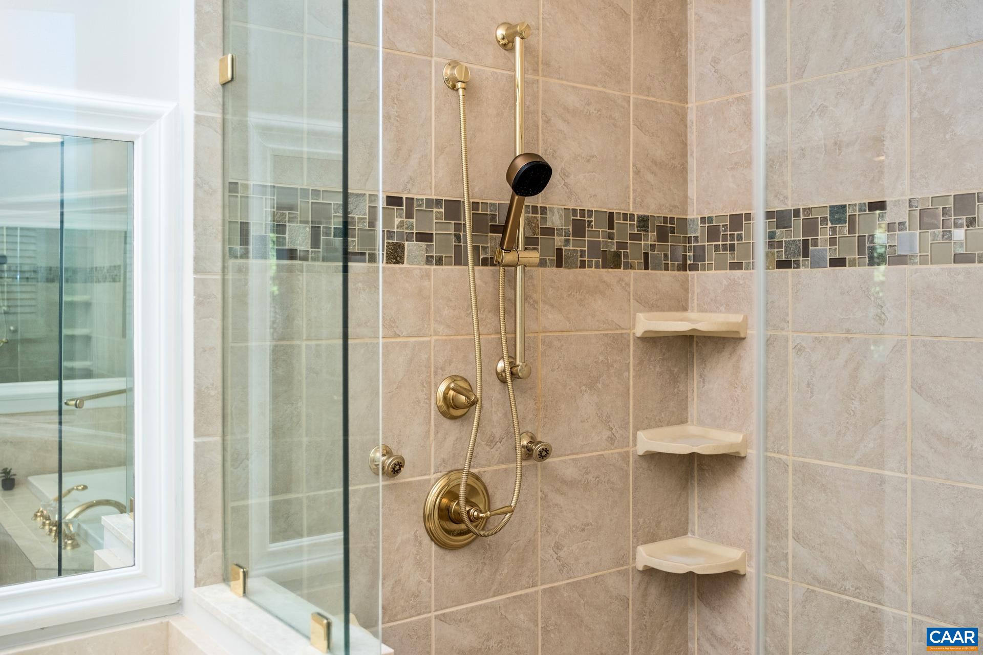 3070 Chimney Ridge Charlottesville, VA 22911 - Photo 21 of 50 Spa Shower