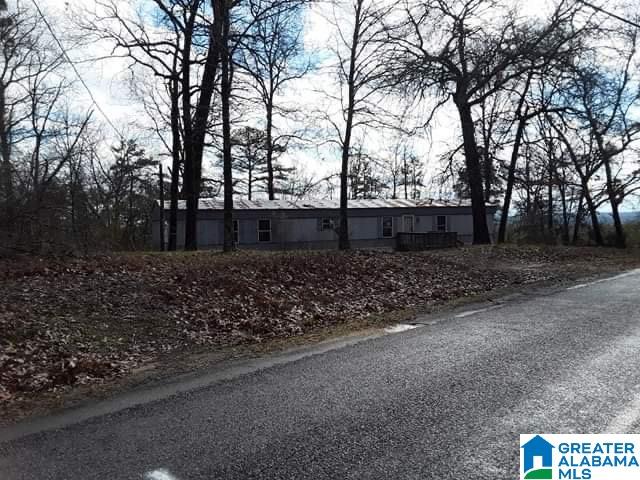 98 Lynch Lake Road Odenville, AL 35120 - Photo 6 of 6