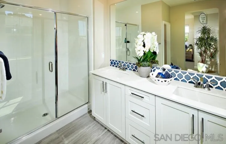 1099 Delpy View Point Vista, CA 92084 - Photo 9 of 15 a bathroom with a sink a mirror and a shower