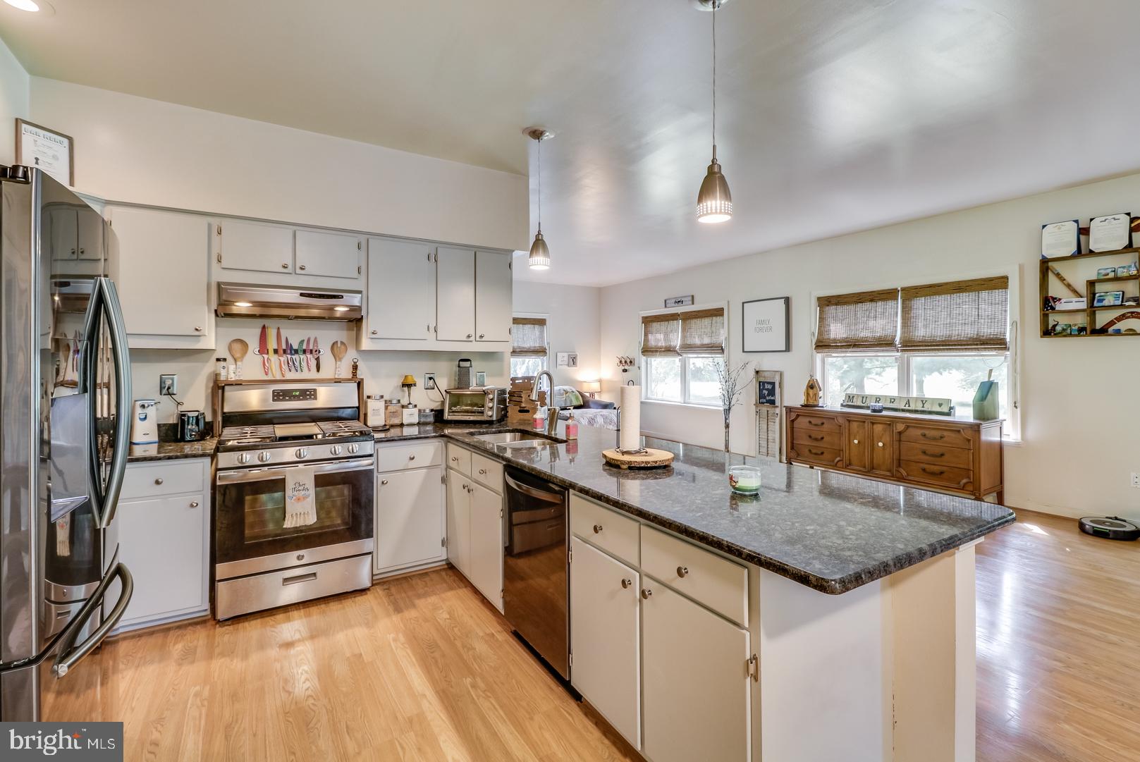 841 Mud Mill Road Marydel, DE 19964 - Photo 19 of 36