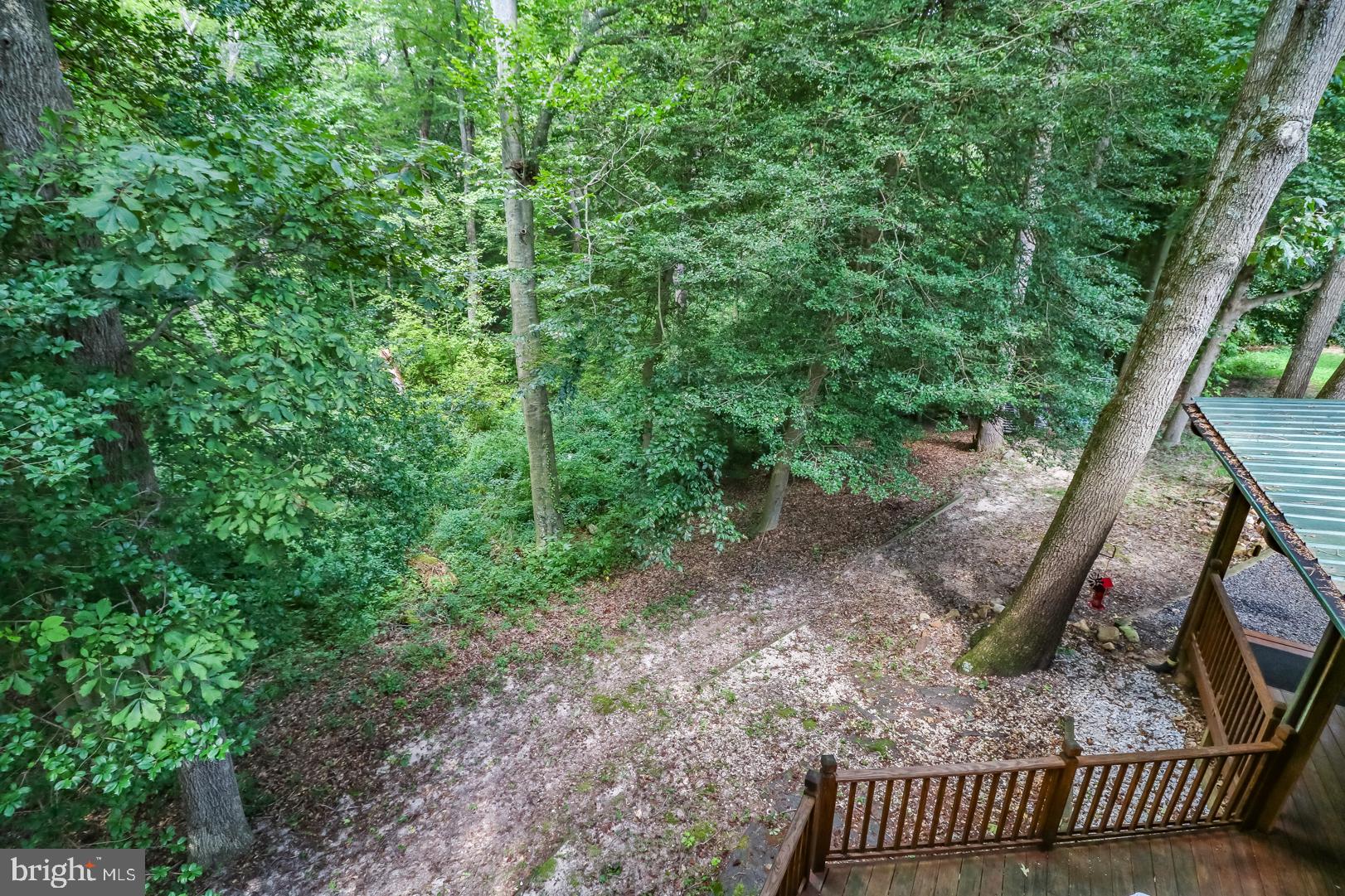 841 Mud Mill Road Marydel, DE 19964 - Photo 30 of 36