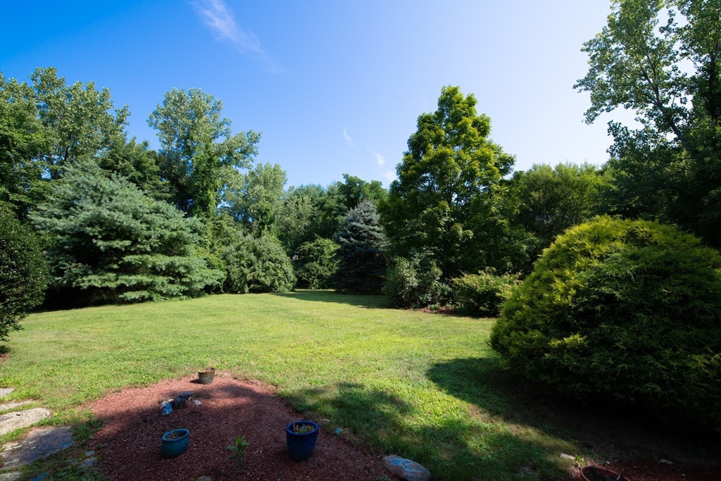 110 Mendon Road Northbridge, MA 01534 - Photo 4 of 37 a view of a green yard with a fountain