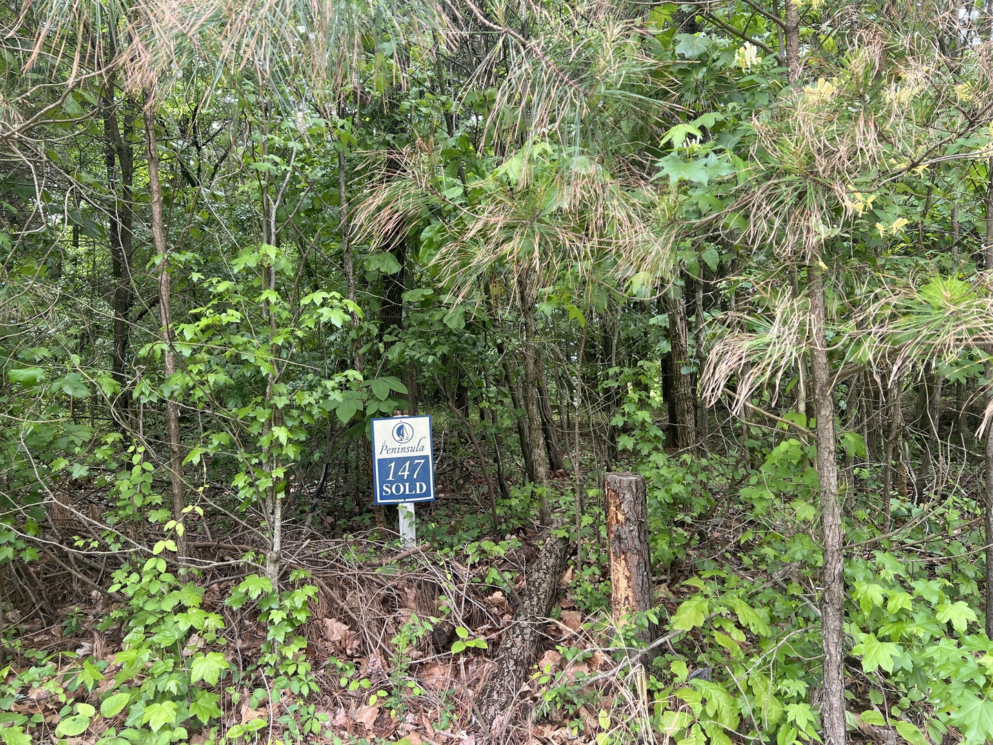 Lot 147 Parrish Ridge Goreville, IL 62939 - Photo 10 of 20