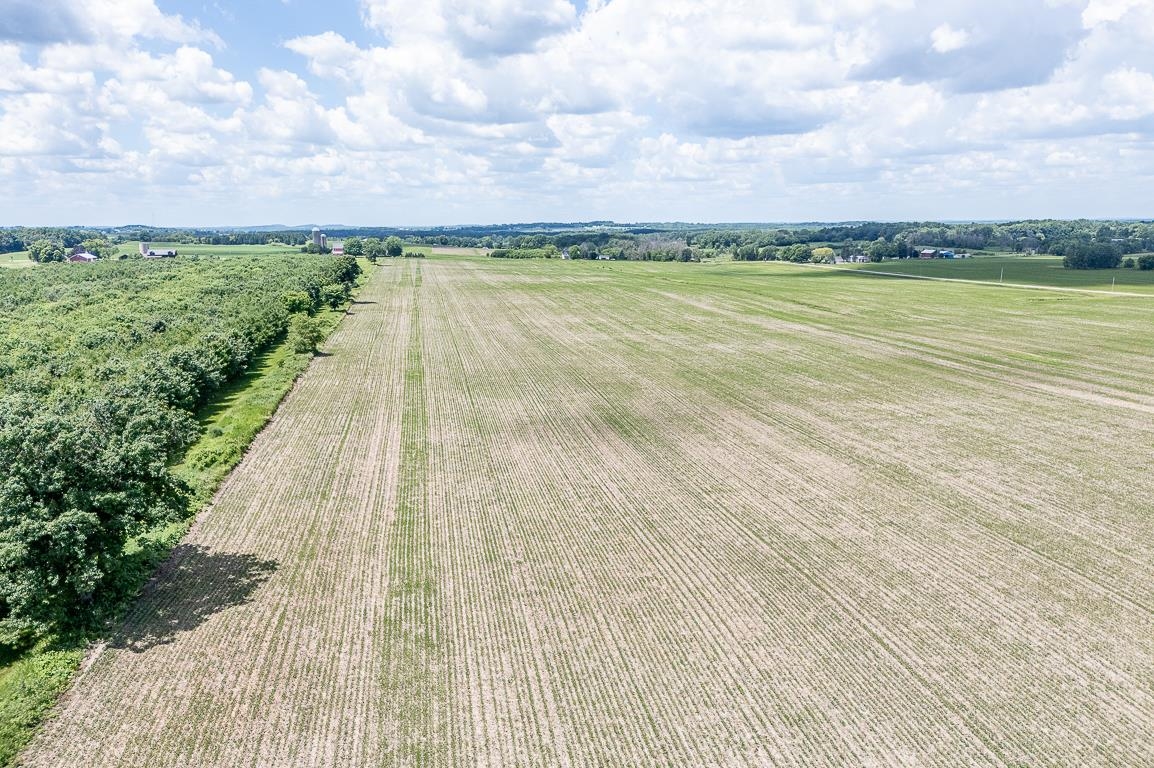 N4440 Mayflower Road Black Creek, WI 54106 - Photo 15 of 20