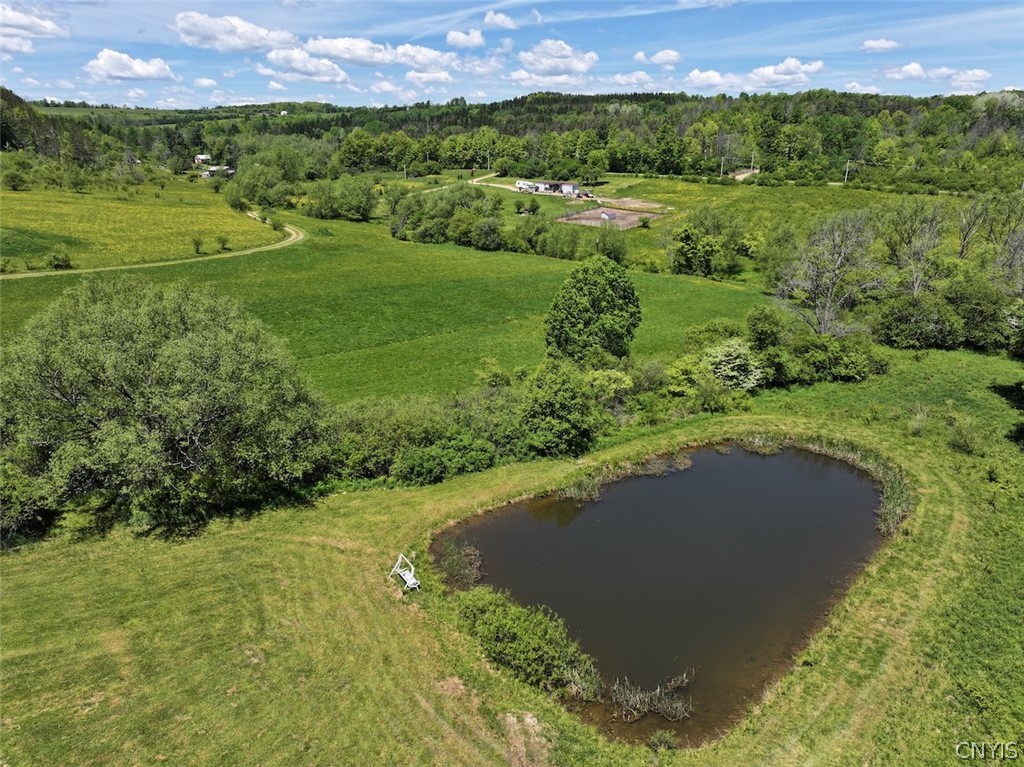 North Branch Road Friendship, NY 14739 - Photo 8 of 27