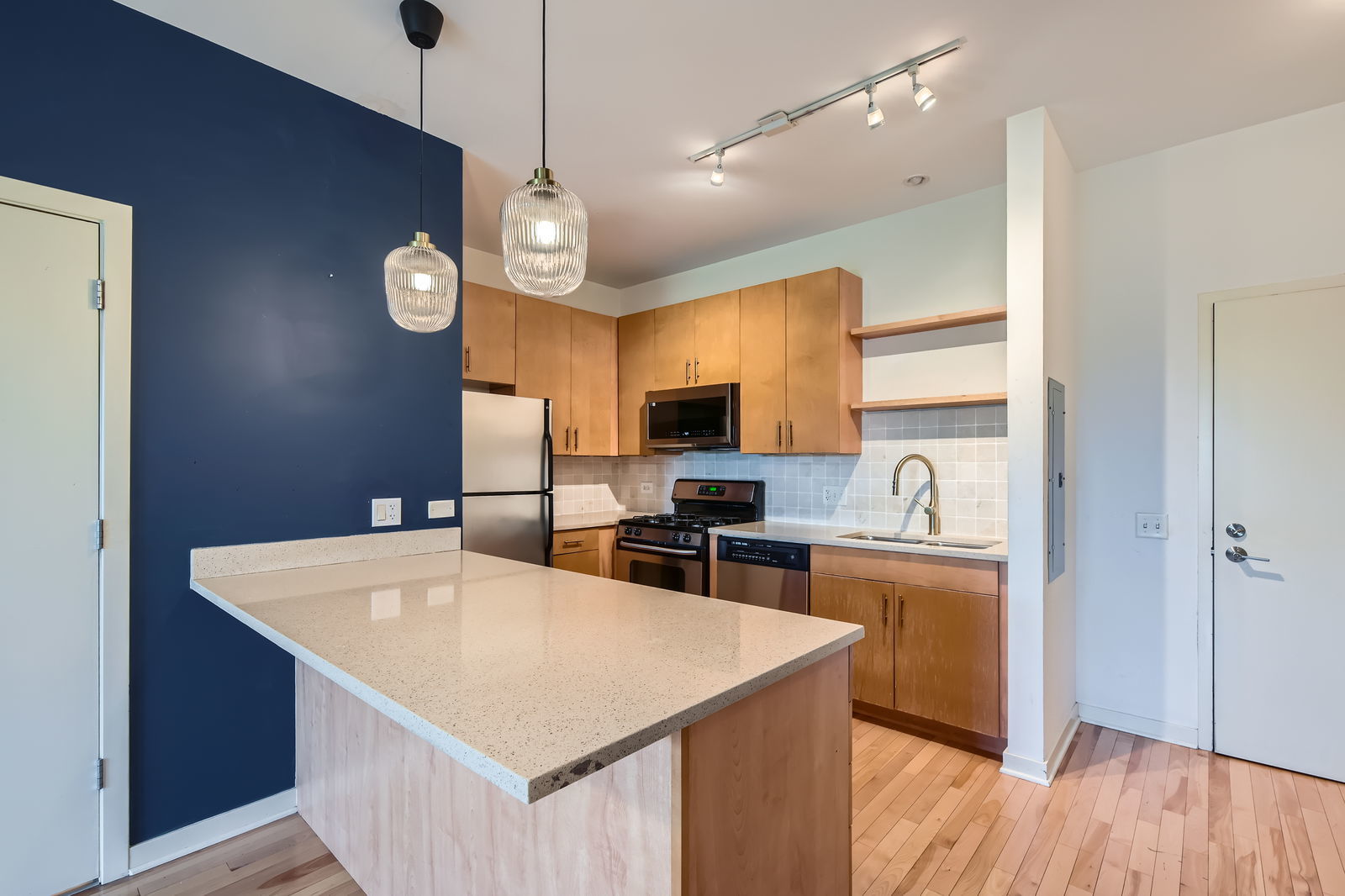 1155 West Roosevelt Road, Unit 406 Chicago, IL 60608 - Photo 6 of 16