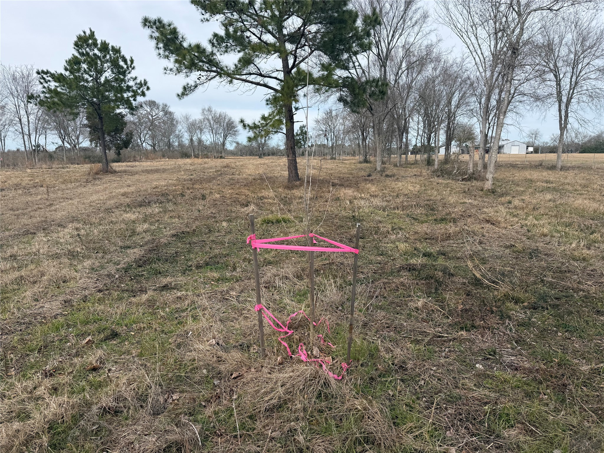 32186 Howell Road Waller, TX 77484 - Photo 2 of 8 a backyard of a house with table and chairs