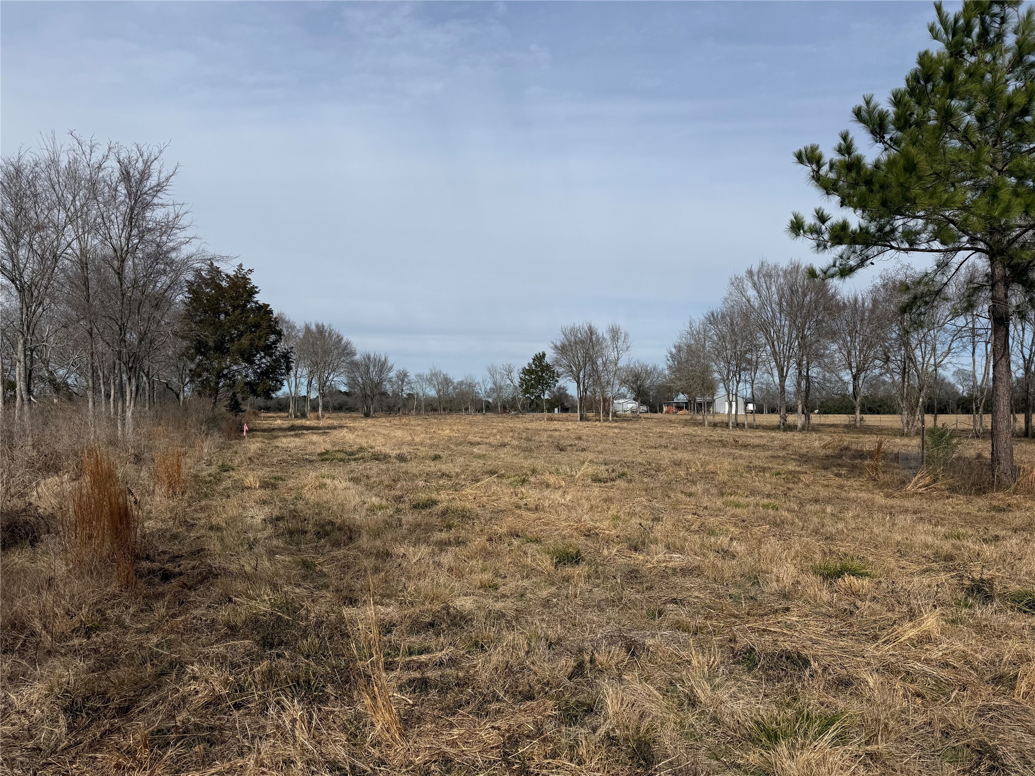 32186 Howell Road Waller, TX 77484 - Photo 3 of 8 a view of large yard with green space