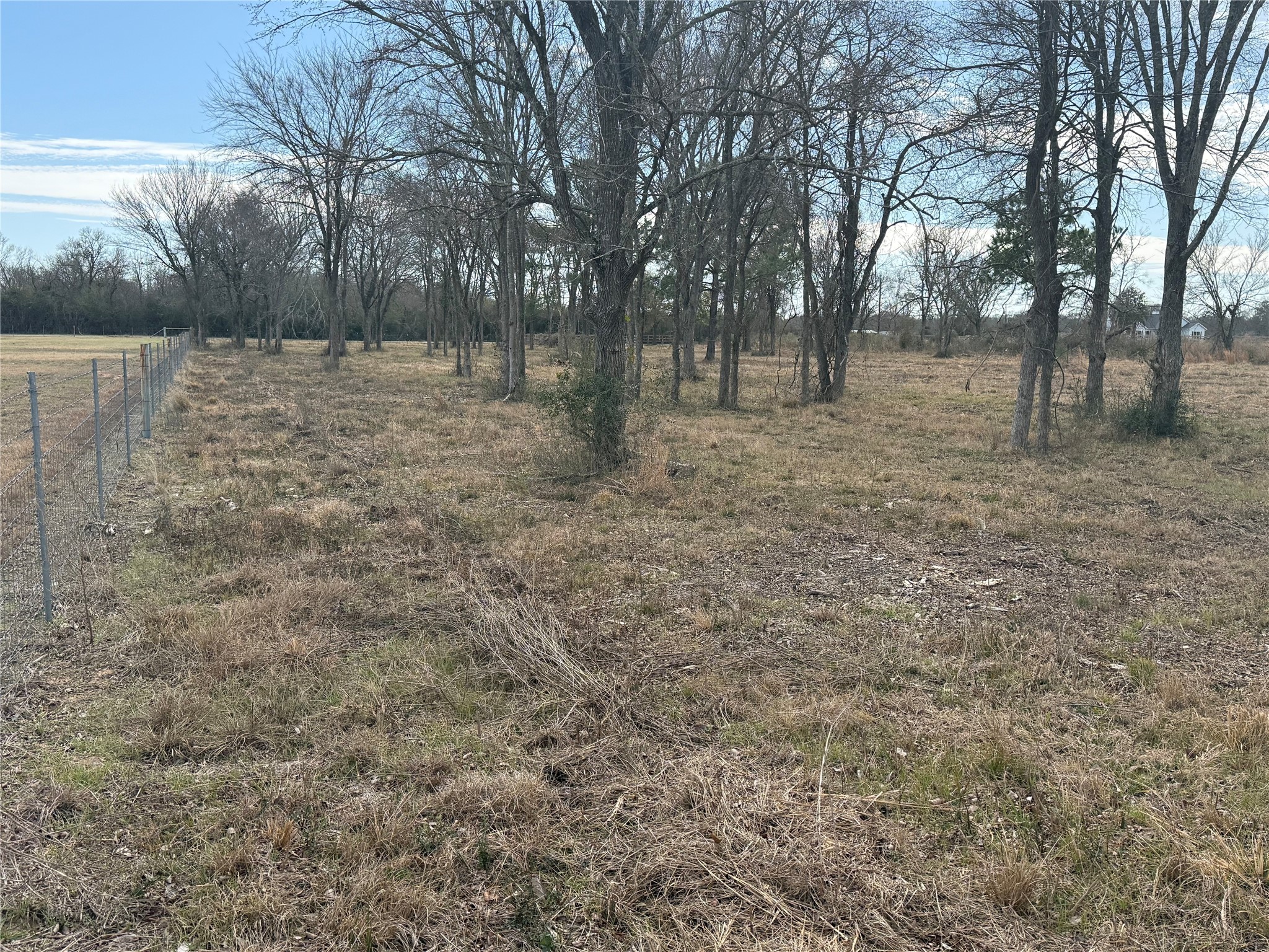 32186 Howell Road Waller, TX 77484 - Photo 5 of 8 a view of a yard with trees