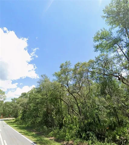 $31,500 | 34406 Rimrock Street, Webster, FL 33597