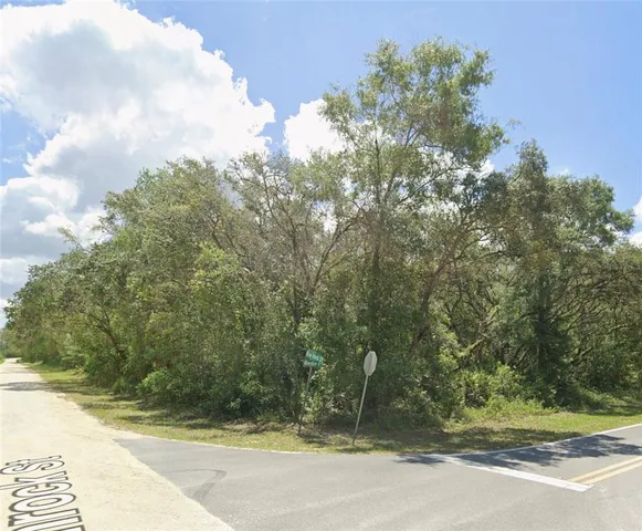 $31,500 | 34406 Rimrock Street, Webster, FL 33597