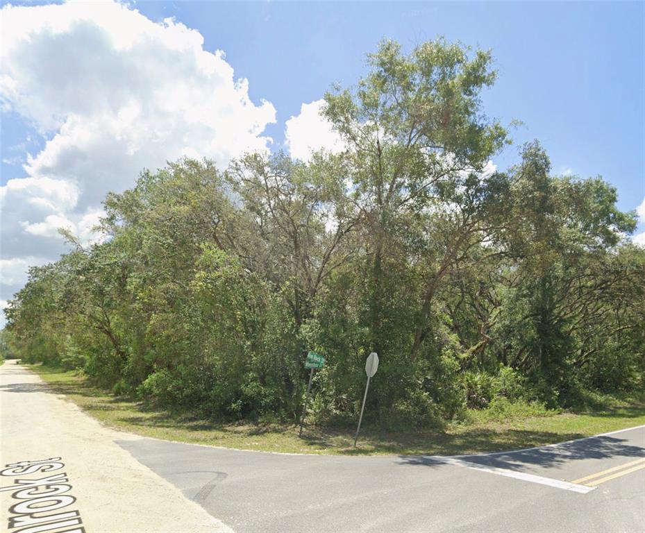 34406 Rimrock Street Webster, FL 33597 - Photo 4 of 4