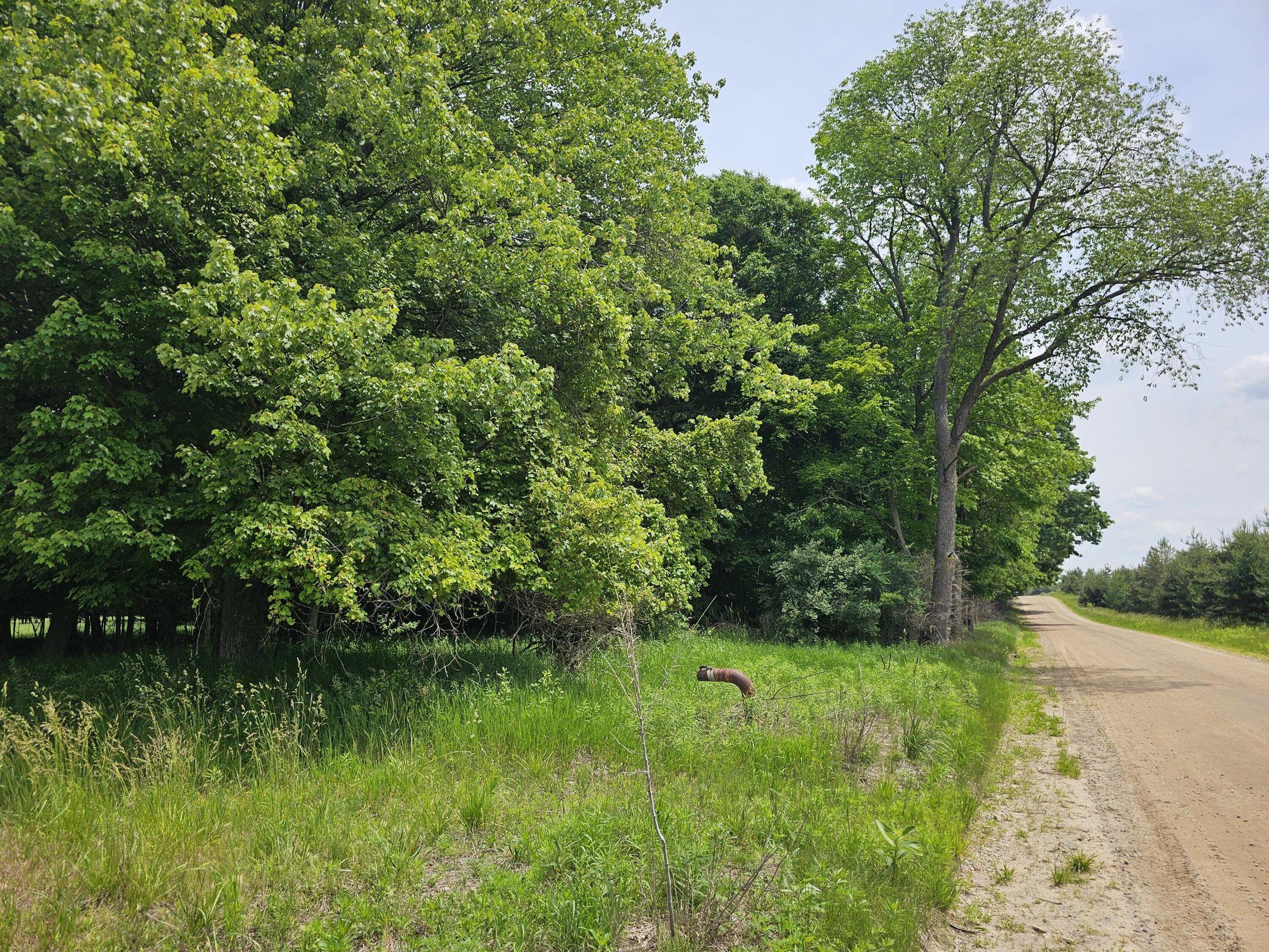 4550 Waterwheel Road Six Lakes, MI 48886 - Photo 4 of 8 20240614224543209399000000-o