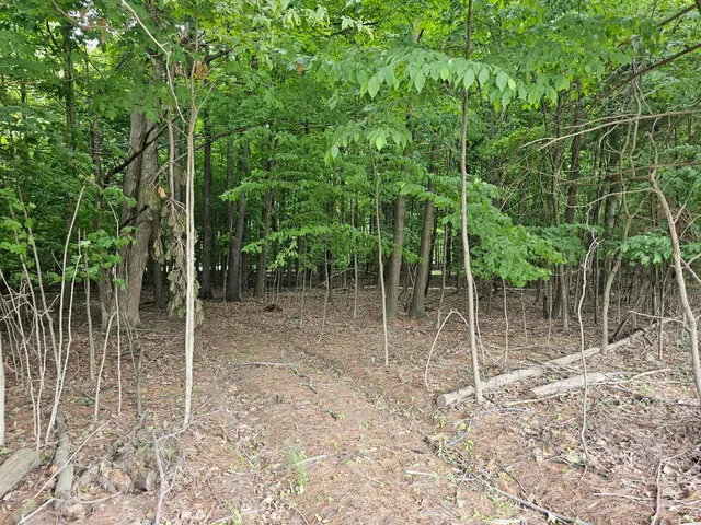 $52,900 | 4550 Waterwheel Road, Six Lakes, MI 48886