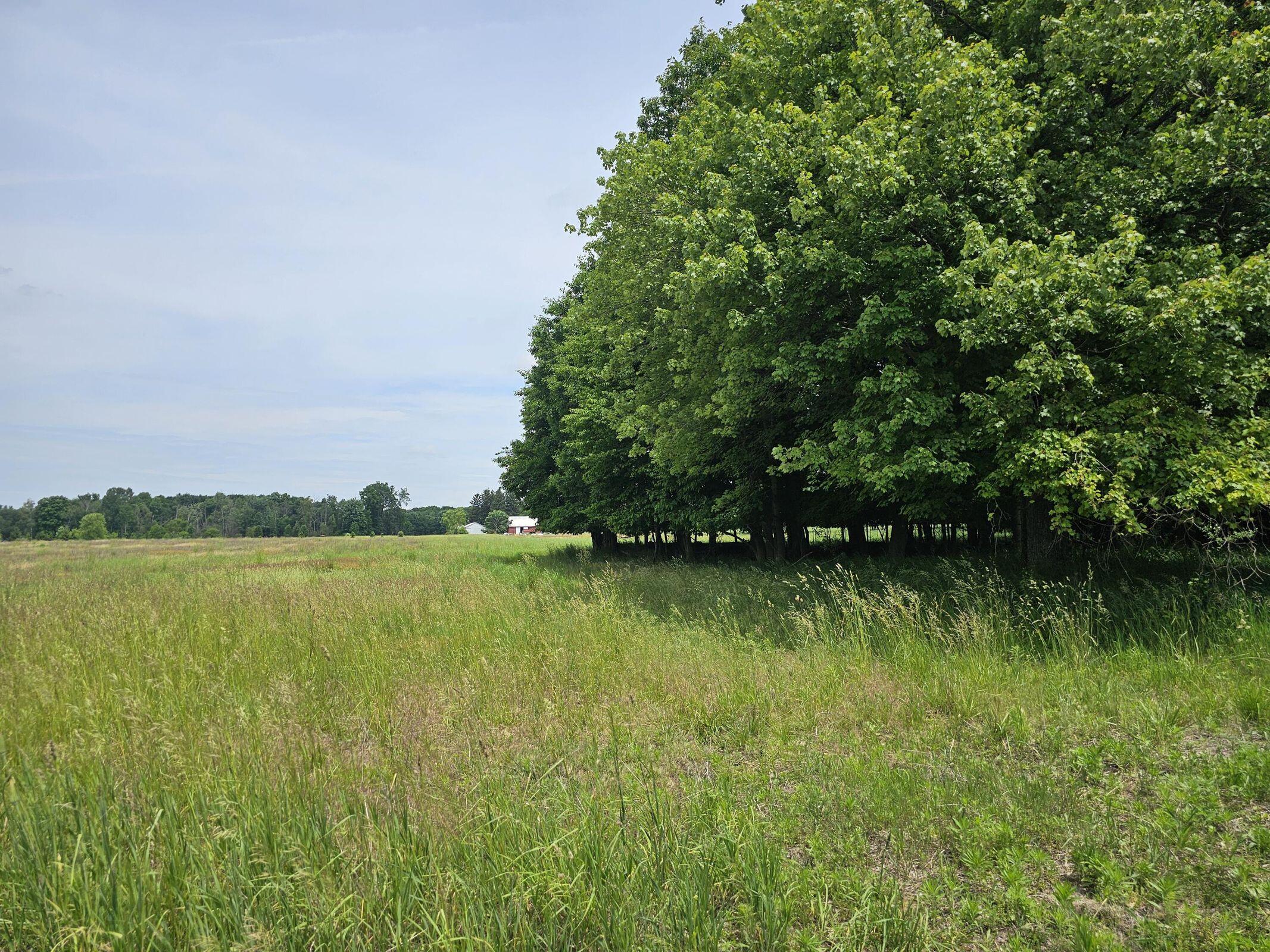 4550 Waterwheel Road Six Lakes, MI 48886 - Photo 6 of 8 20240614224549860951000000-o