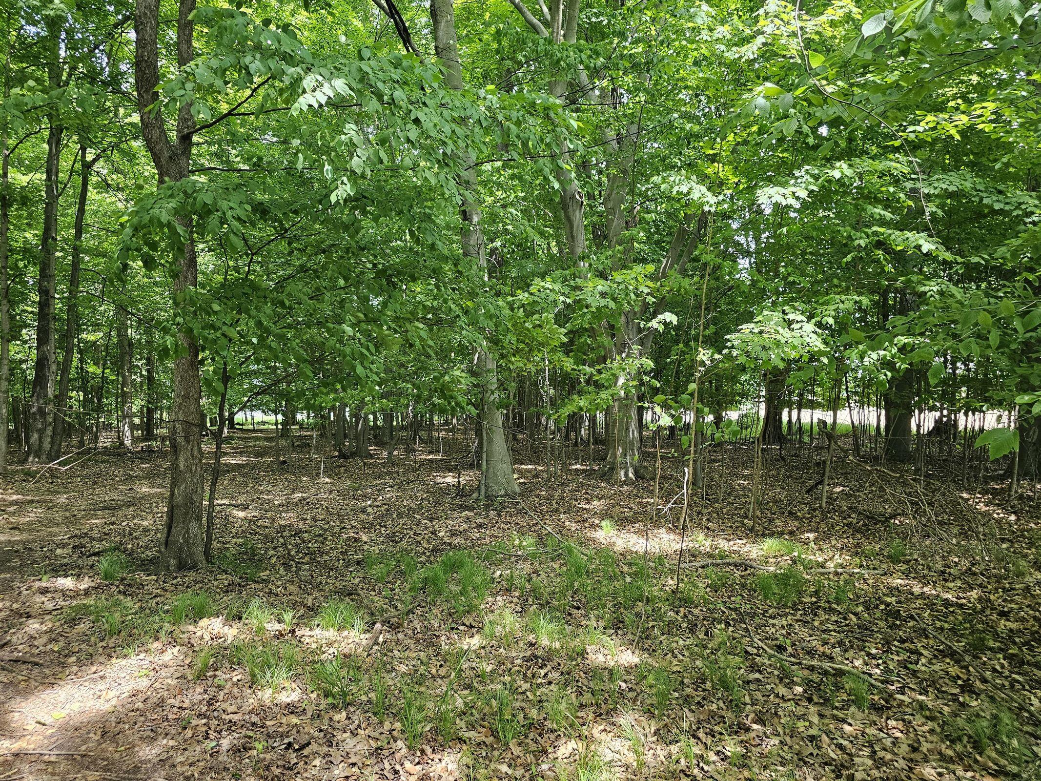 4550 Waterwheel Road Six Lakes, MI 48886 - Photo 7 of 8 20240614224558391222000000-o