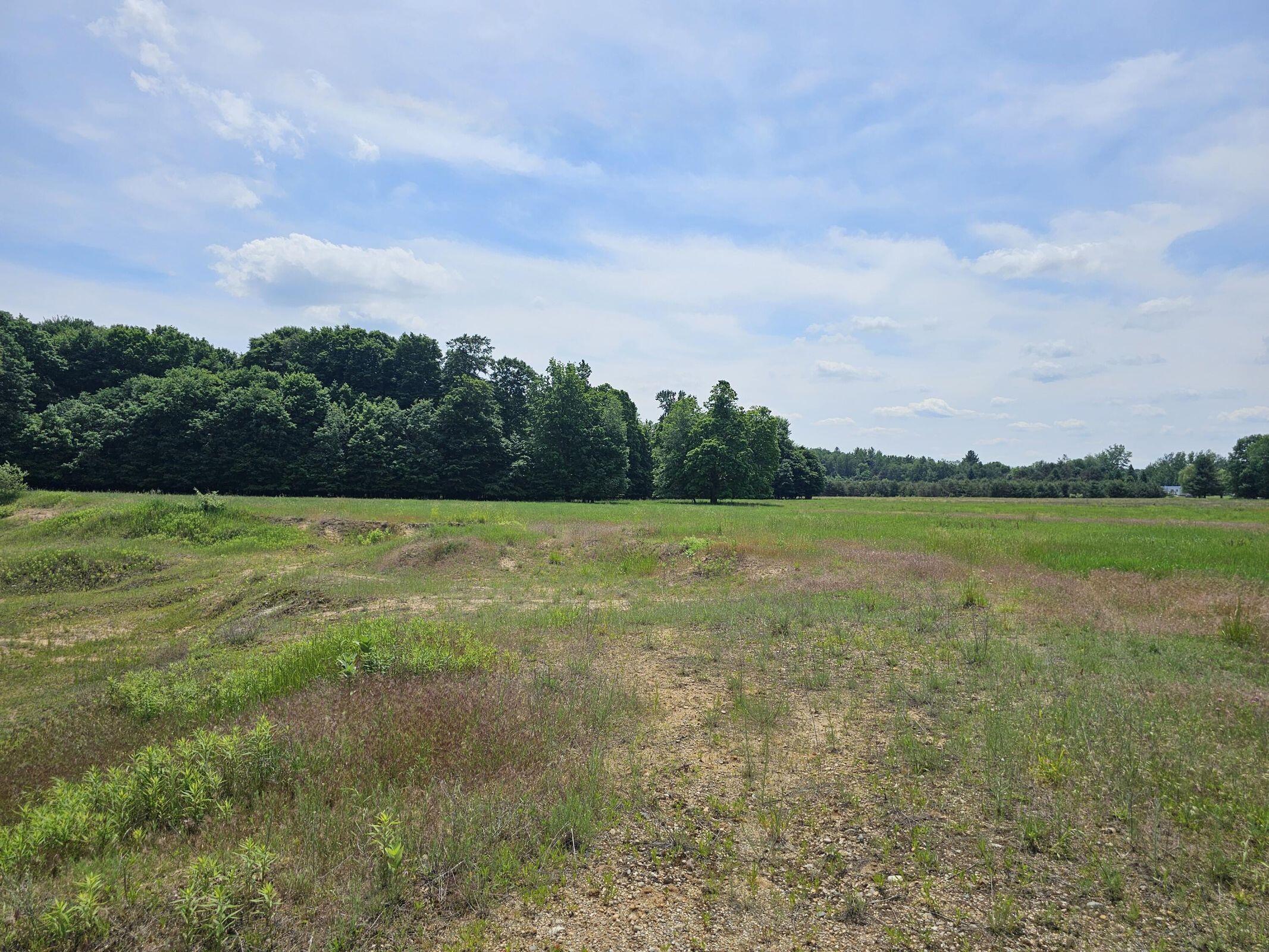 4550 Waterwheel Road Six Lakes, MI 48886 - Photo 8 of 8 20240614224605350833000000-o