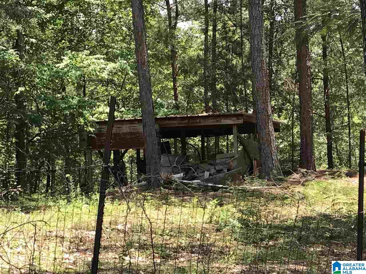140 County Road 196 Clanton, AL 35046 - Photo 24 of 28