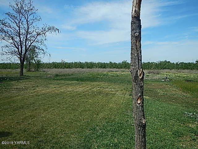 10331 Larue Road Toppenish, WA 98948 - Photo 4 of 13 a view of a field with a tree in the background