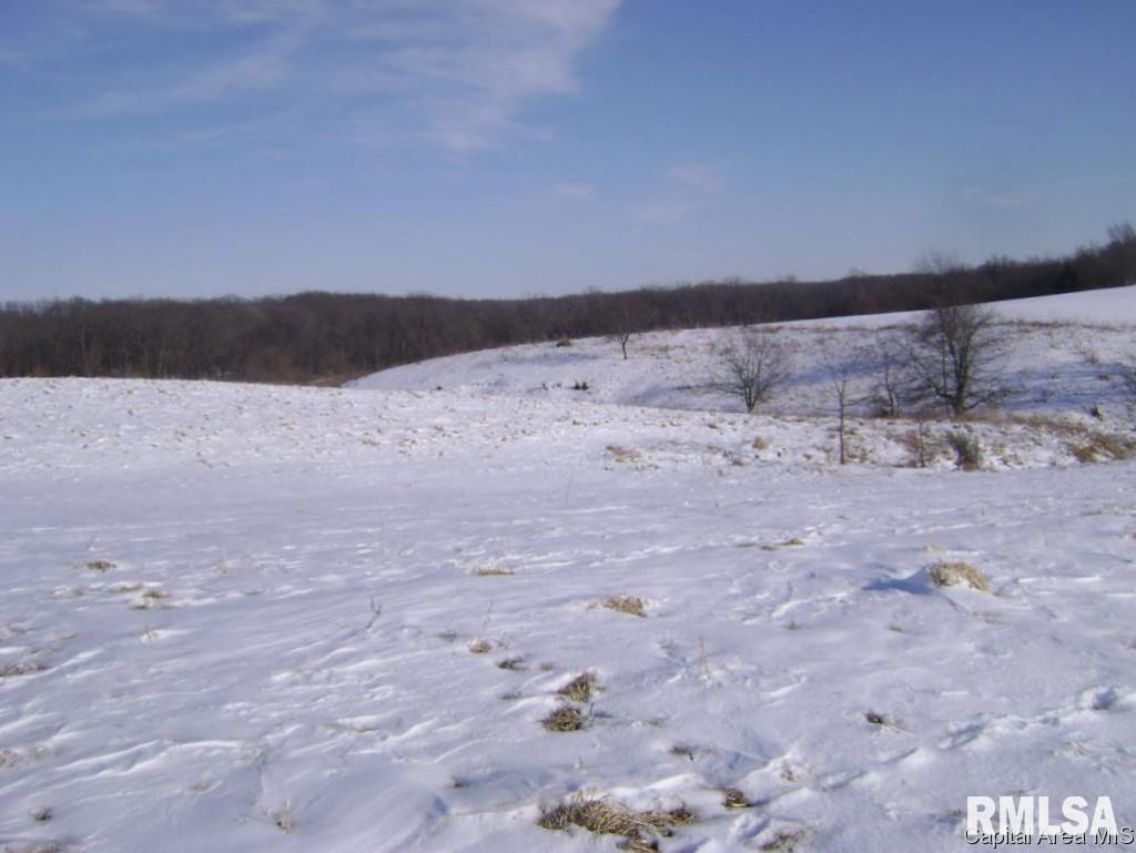 1600th Road Macomb, IL 61455 - Photo 9 of 10 Gallery Image 9