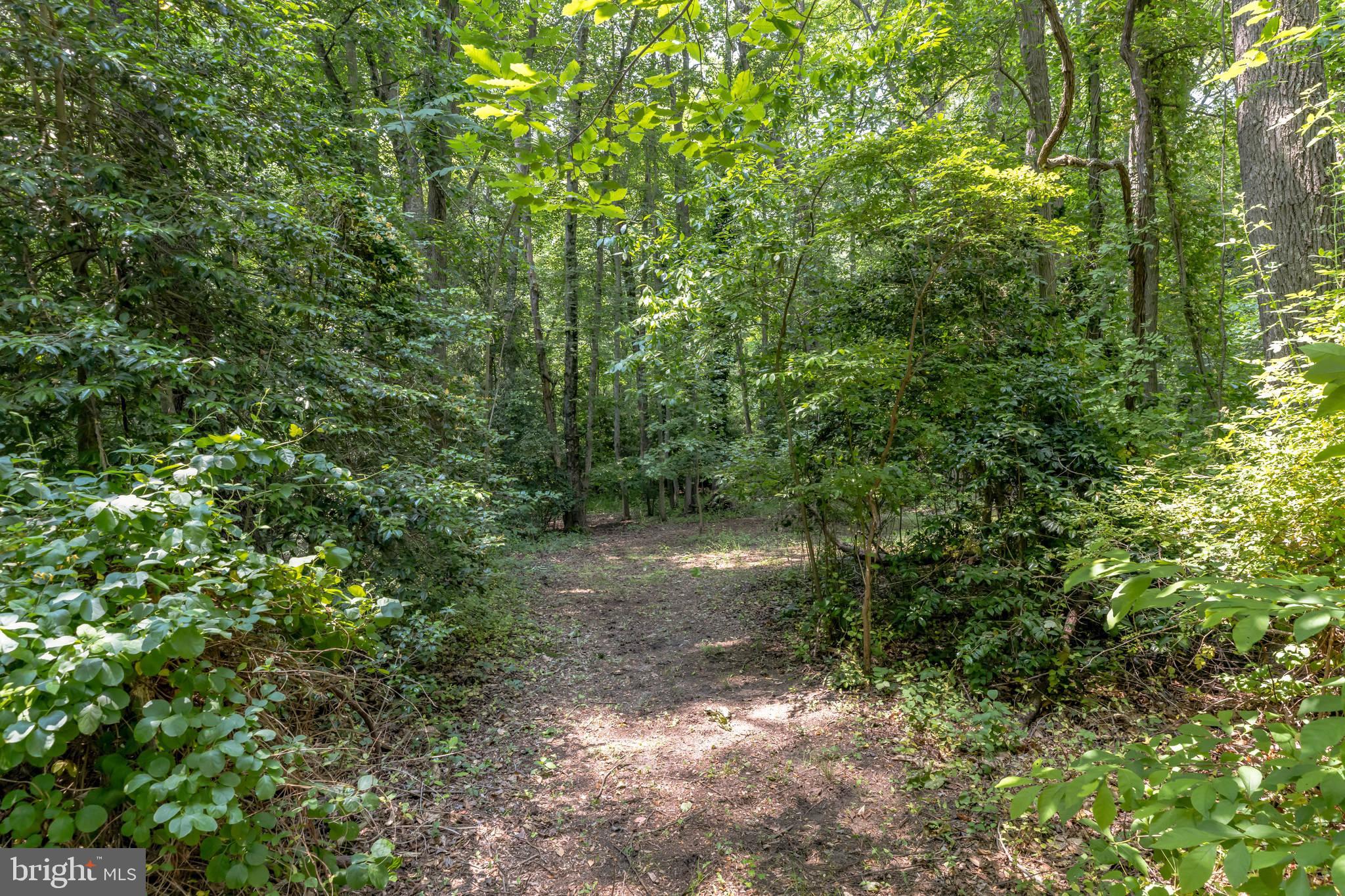 522 Fairview Road Glassboro, NJ 08028 - Photo 37 of 47