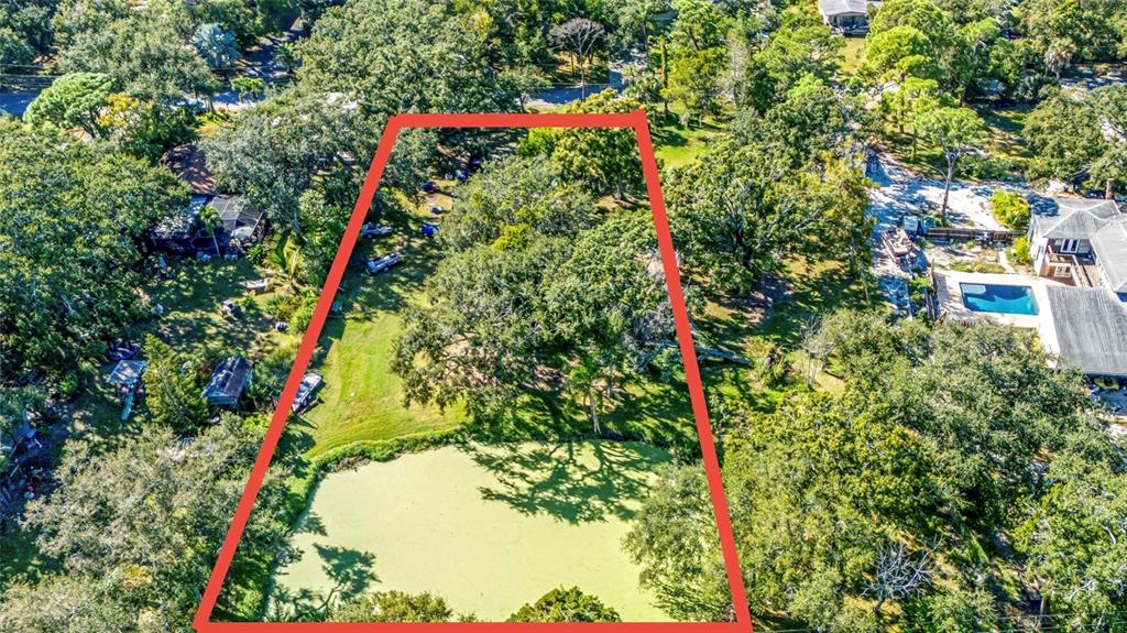 6027 98th Way North St. Petersburg, FL 33708 - Photo 17 of 20 a view of a tree in a yard