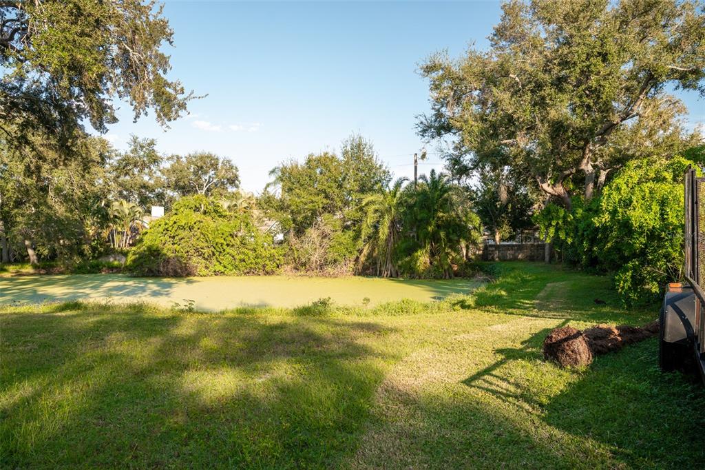 6027 98th Way North St. Petersburg, FL 33708 - Photo 5 of 20 a view of a yard with a tree