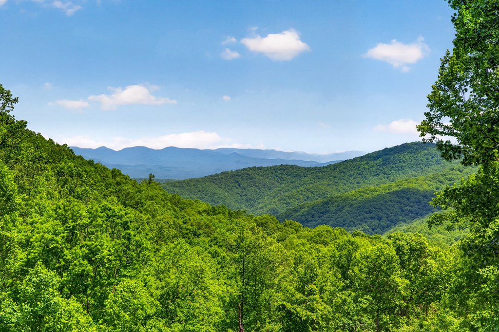 1386 Outlook Road Murphy, NC 28906 - Photo 4 of 40