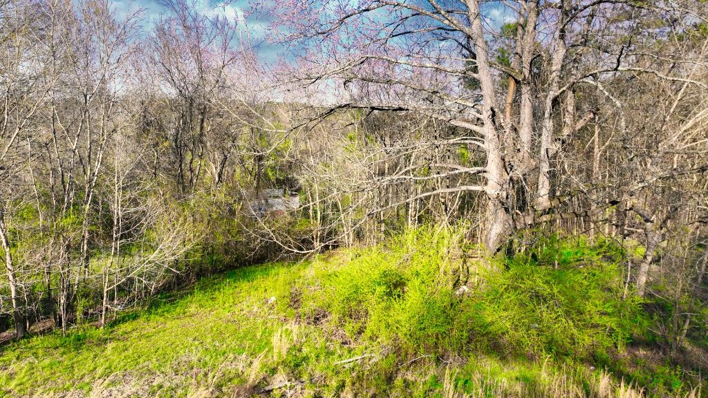 0 Sain Road Middleton, TN 38052 - Photo 11 of 15 Gallery Image 11