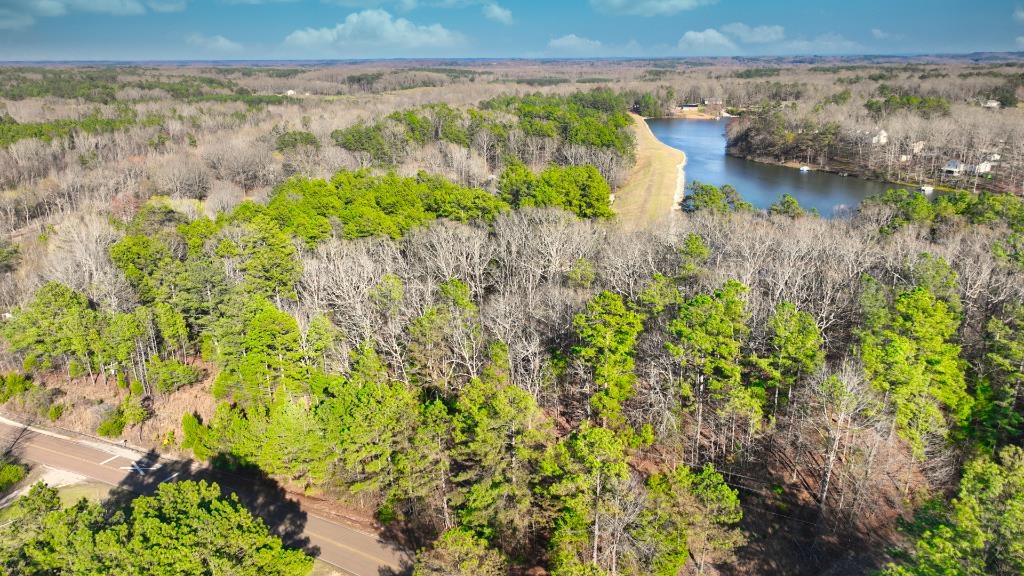 0 Sain Road Middleton, TN 38052 - Photo 8 of 15 Gallery Image 8