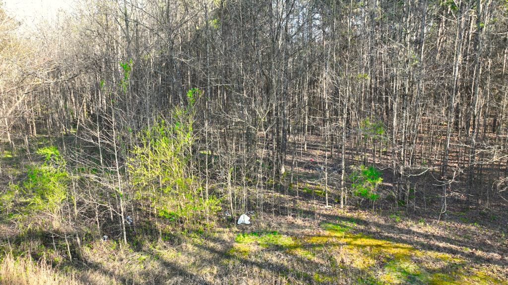 0 Sain Road Middleton, TN 38052 - Photo 9 of 15 Gallery Image 9