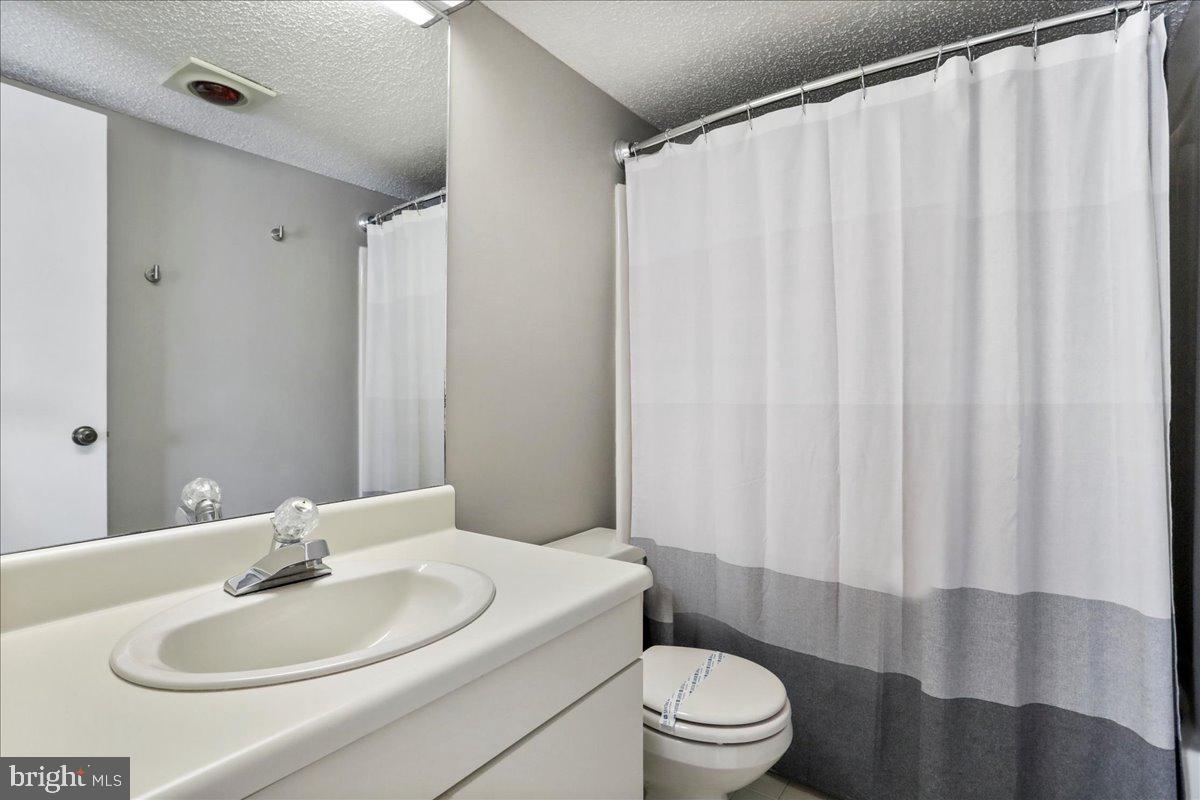 76 Bright Passage McHenry, MD 21541 - Photo 18 of 63 a bathroom with a sink toilet and shower