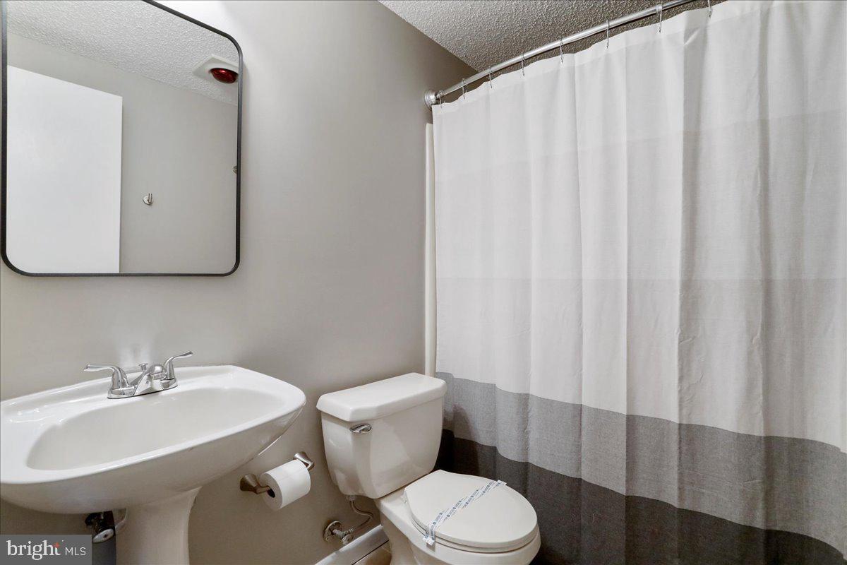 76 Bright Passage McHenry, MD 21541 - Photo 32 of 63 a bathroom with a sink a toilet and shower curtain