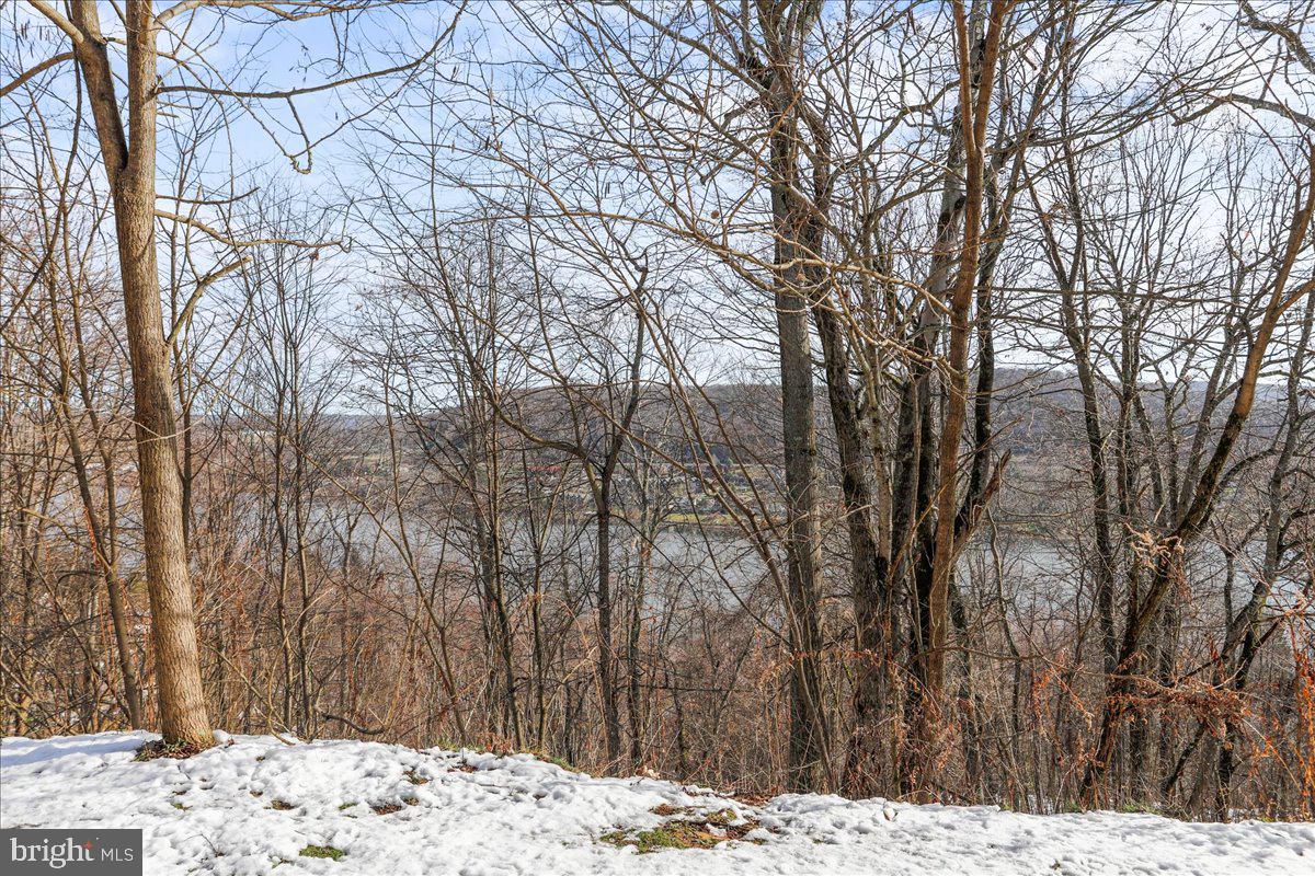 76 Bright Passage McHenry, MD 21541 - Photo 42 of 63 a view of a backyard of snow and trees