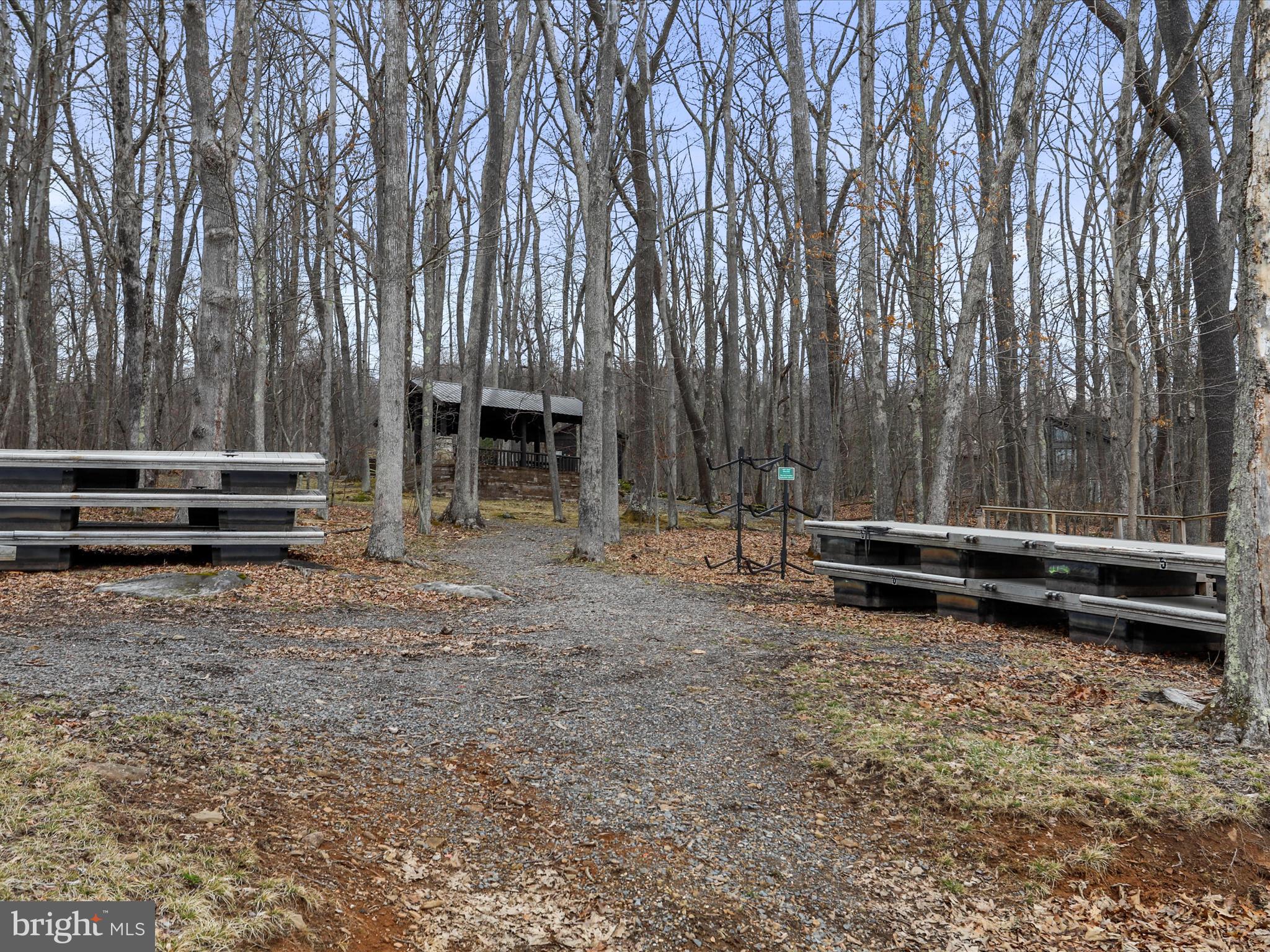 76 Bright Passage McHenry, MD 21541 - Photo 53 of 63 a backyard of a house with barbeque oven and trees