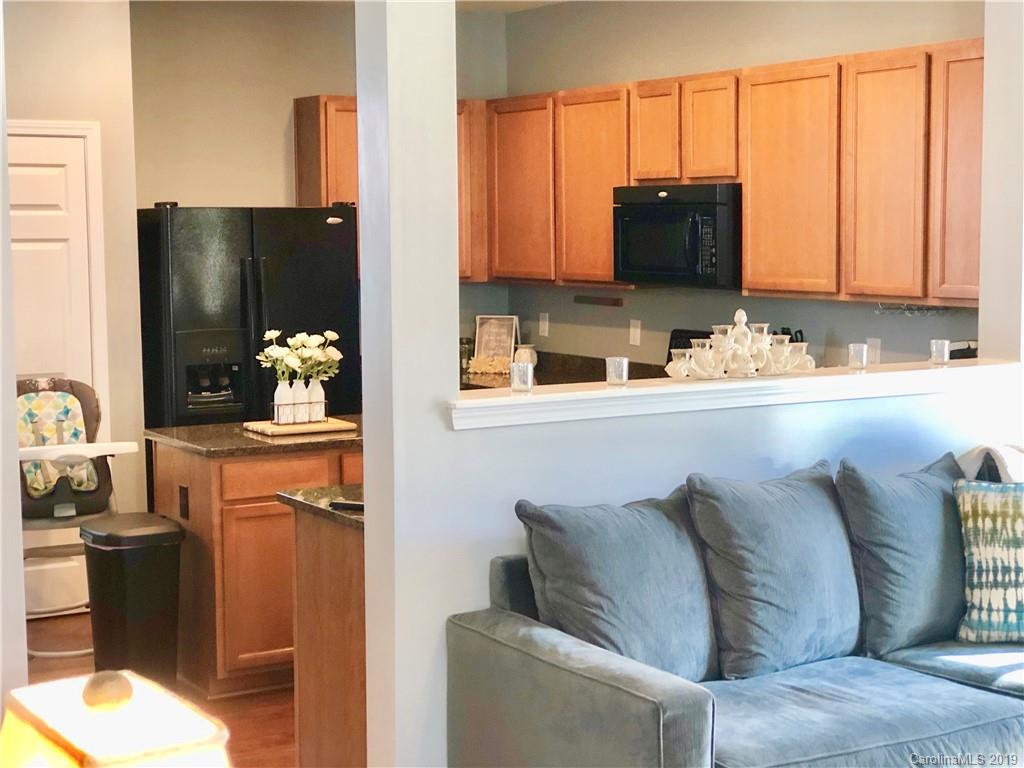 10010 Bristley Road Charlotte, NC 28227 - Photo 13 of 35