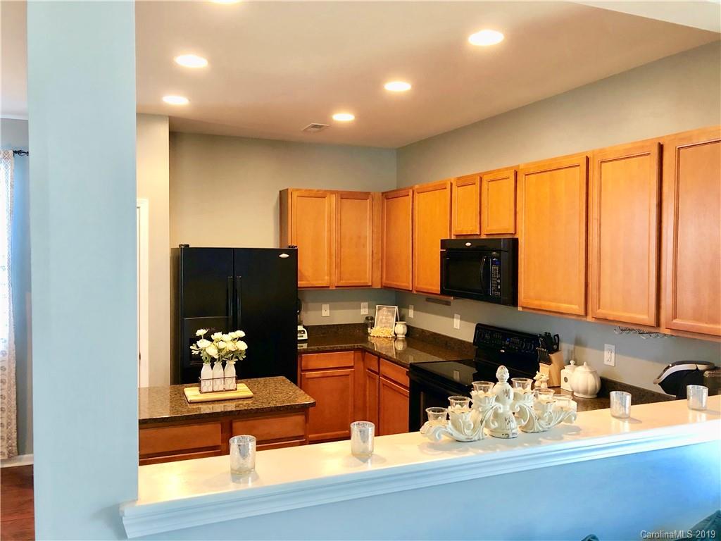 10010 Bristley Road Charlotte, NC 28227 - Photo 16 of 35