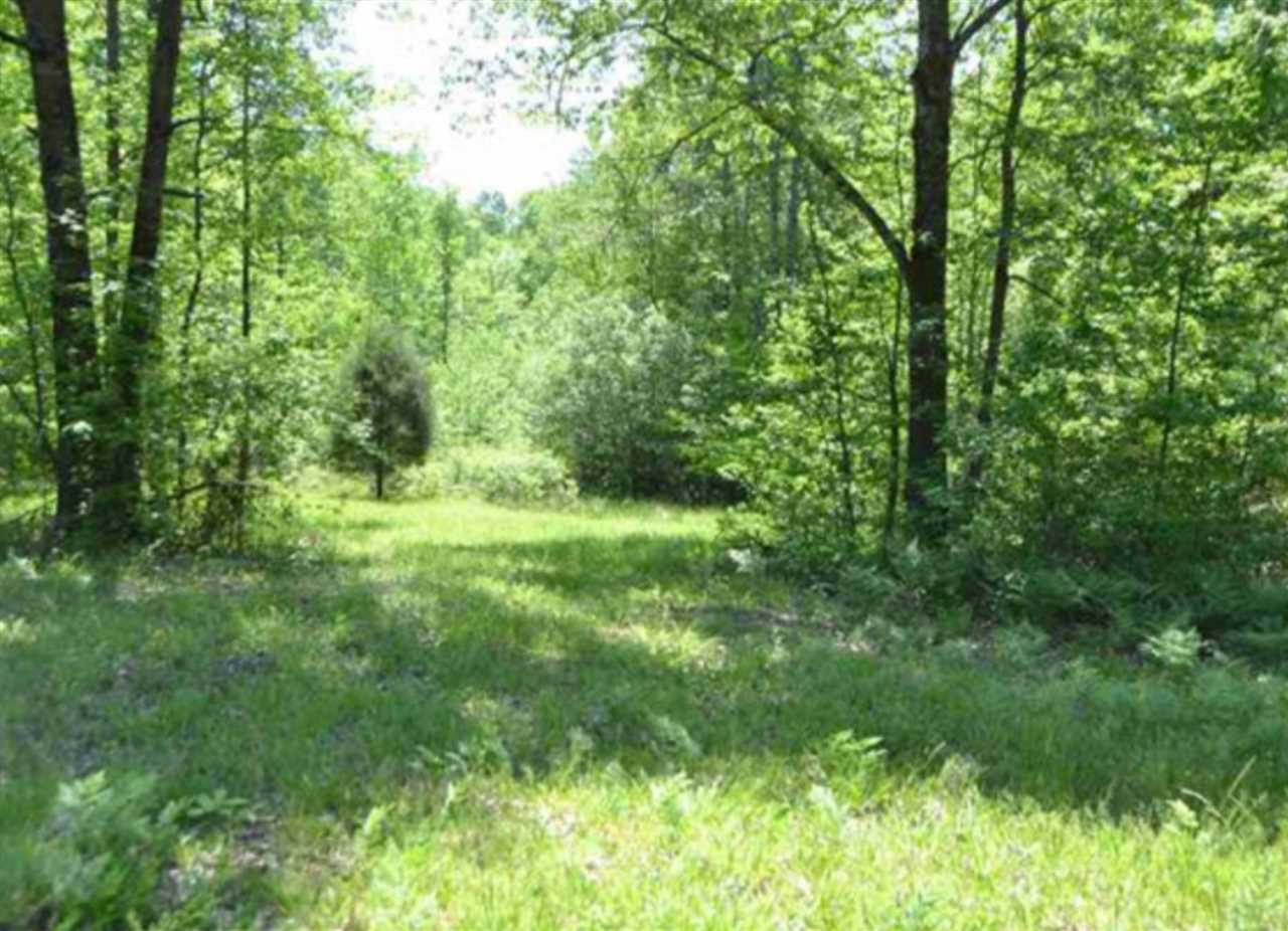 689 Willoughby Loop Road Pinson, TN 38366 - Photo 20 of 24 Photo 20
