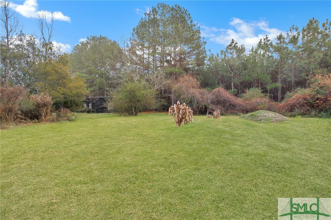 645 Rocker Road Brooklet, GA 30415 - Photo 48 of 50