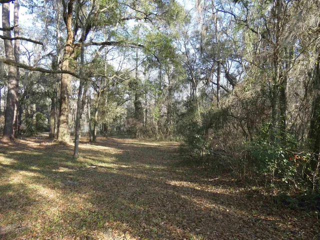 $172,500 | Tbd Rainey Run, Monticello, FL 32344