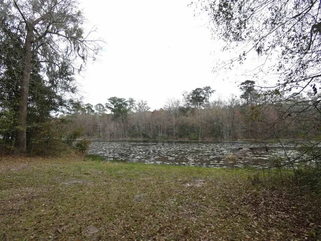 $172,500 | Tbd Rainey Run, Monticello, FL 32344