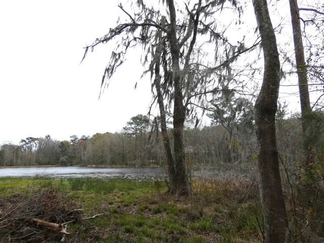 $172,500 | Tbd Rainey Run, Monticello, FL 32344