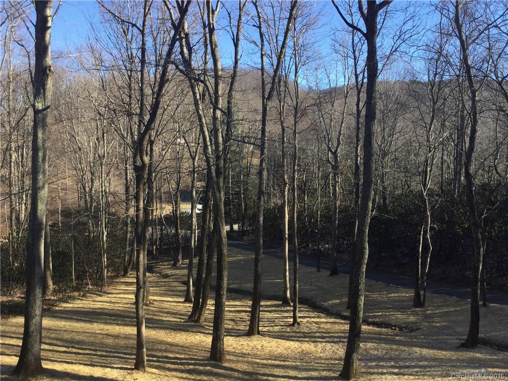 682 Pinners Cove Road, Unit 2 Asheville, NC 28803 - Photo 5 of 24 Gallery Image 5
