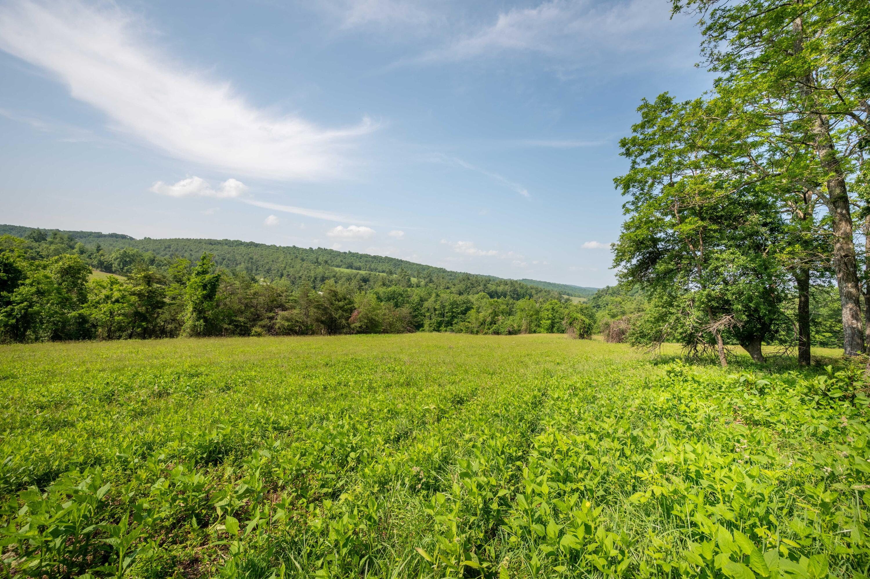 1073 Timberline Road Southeast Copper Hill, VA 24079 - Photo 12 of 56 11