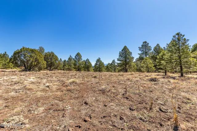 a view of a lake with a city