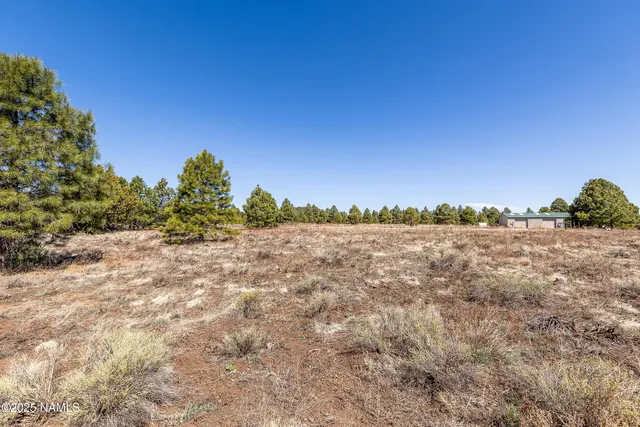 a view of mountain view with a garden