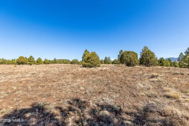 a view of lake and mountain