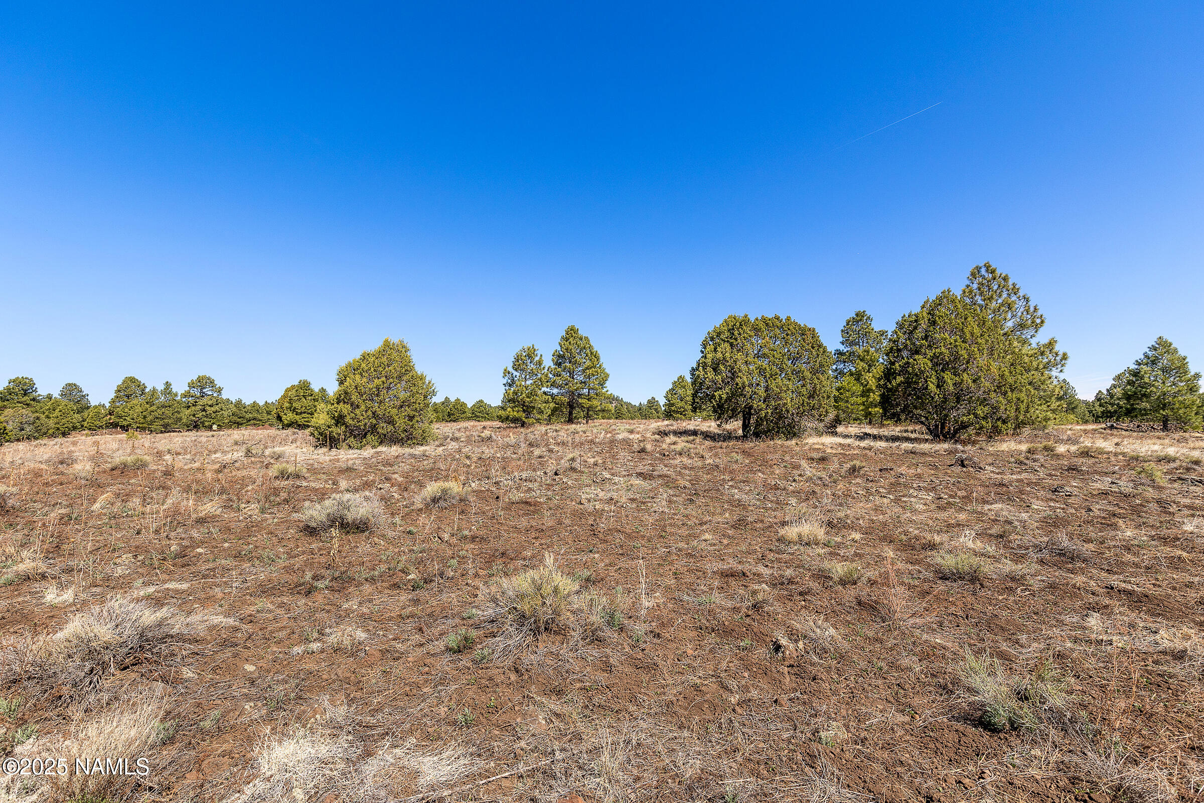 747 North Davenport Lk Road Williams, AZ 86046 - Photo 20 of 28 a view of mountain view with a garden